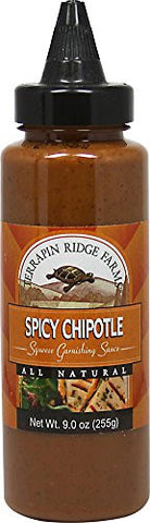 Garnishing Sauce Spicy Chipotle 9.0 FO