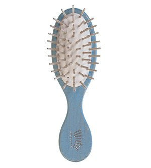 COLORED PURSE BRUSHES, Robin Egg Blue