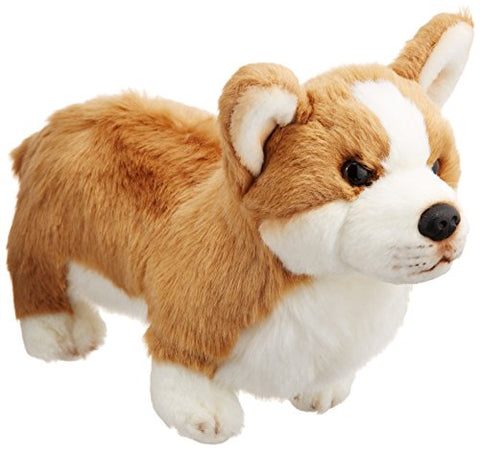 Corgi Small