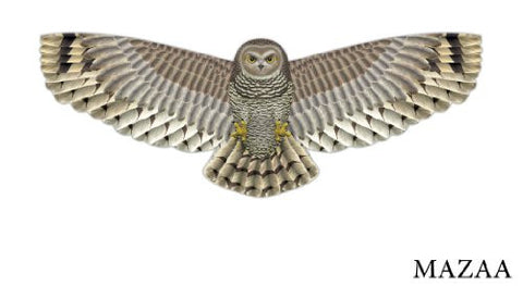 Birds of Prey, Owl