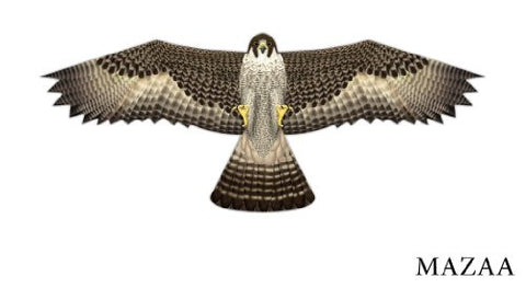 Birds of Prey, Falcon
