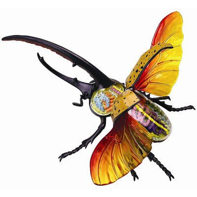 4D Vision Hercules Beetle Anatomy Model