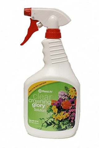 Crowning Glory Clear 32 Oz Spray Bottle - each