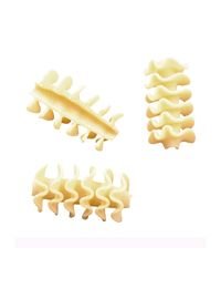 Rustichella d'Abruzzo Pasta, Durum Wheat in Tray, Radiatori, 500 gr/1.1 lb