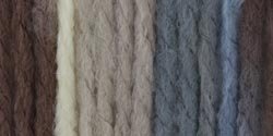 Bernat Softee Chunky Yarn - Ombre Nature's Way 77 Yards 2.8 OZ