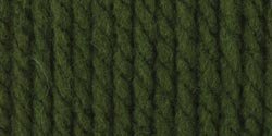 Bernat Softee Chunky Yarn - Solid Eucalyptus 108 Yards 3.5 OZ
