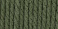 Bernat Softee Chunky Yarn - Solid Forest 108 Yards 3.5 OZ