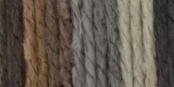 Bernat Softee Chunky Yarn - Ombre Stillness 77 Yards 2.8 OZ
