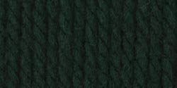 Bernat Softee Chunky Yarn - Solid Dark Green 108 Yards 3.5 OZ