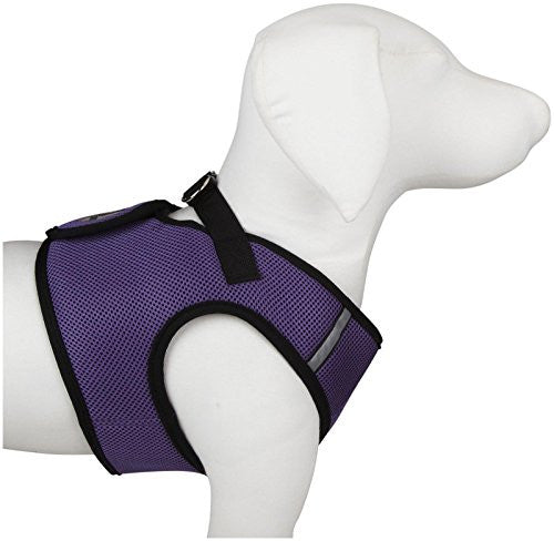 WD Sidekick Harness - Purple, X-Small