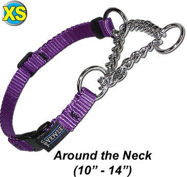XS Chain Martingale - purple