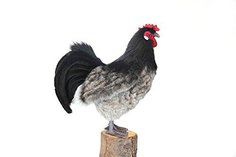 HEN, BLACK/GREY 10''