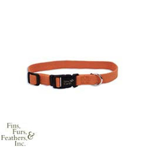 COASTAL Soy Collar 3/4 x 12-18 Inches - Pumpkin
