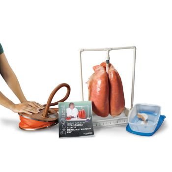 BioQuest Inflatable Lungs Kit