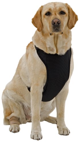 Warming/Cooling Dog Harness with Gel Pack Small Black