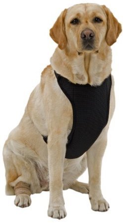 Cooling & Warming Dog Harness with Gel Pack -Black- M