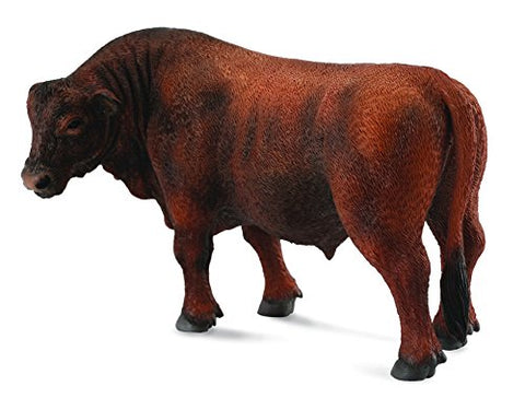 Farm Animals - Red Angus Bull