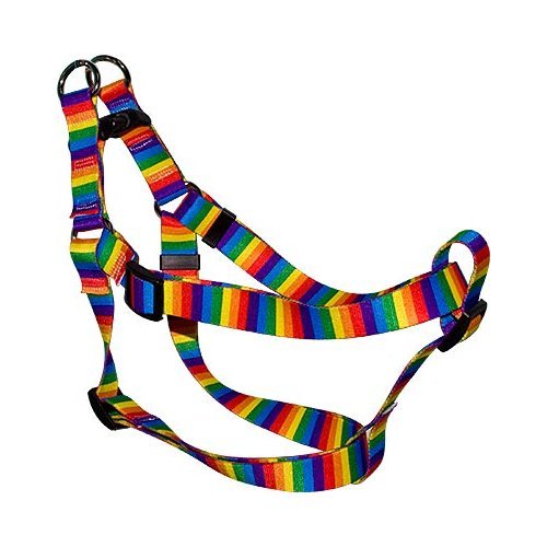 Rainbow Stripe - Step-In Harness, Medium
