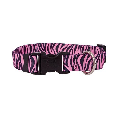 Zebra Collection - Zebra on Pink - Medium Collar