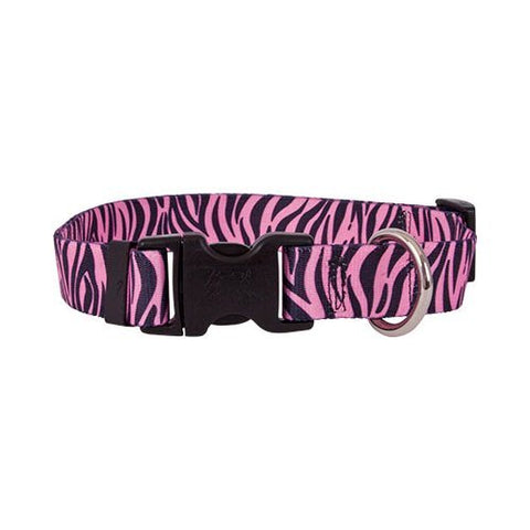 Zebra Collection - Zebra on Pink - Medium Collar