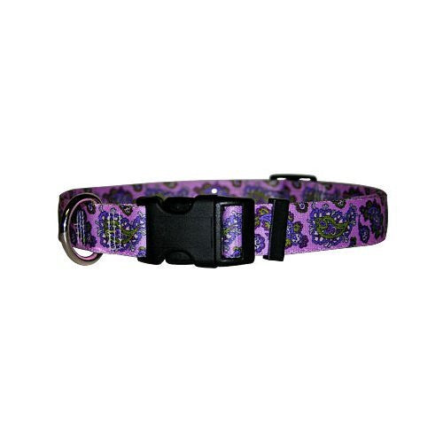 Purple Paisley - Standard Collar, Medium