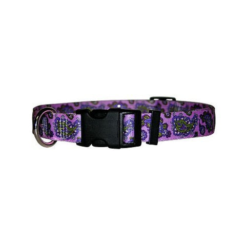 Purple Paisley - Standard Collar, Medium