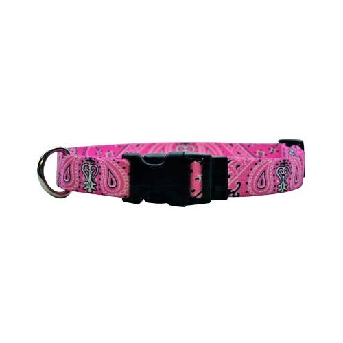 Trend Setters Collection - Pink Bandana - Medium Collar