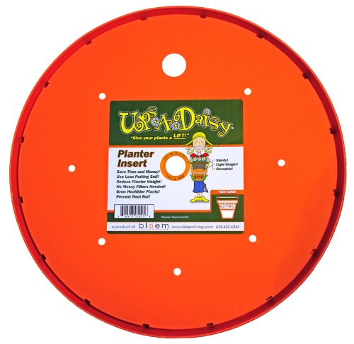 BLOEM T6327 UPS A DAISY ORANGE, 17"