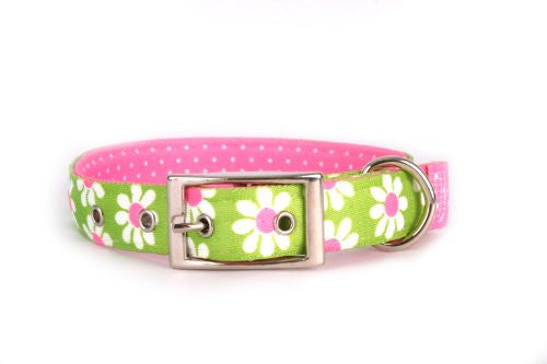 Uptown Green Daisy Collection - Collar, Large