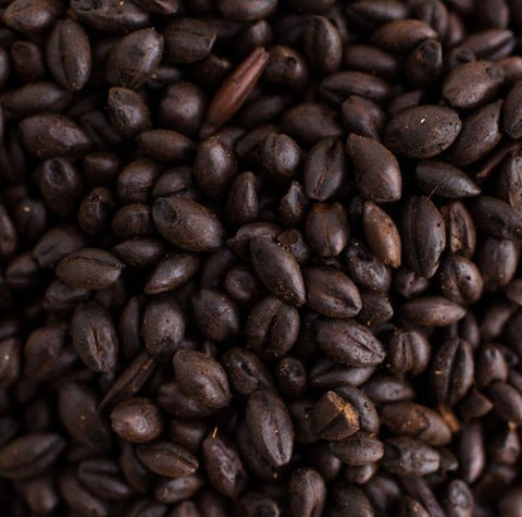 Briess Midnight Wheat Malt, 1lb