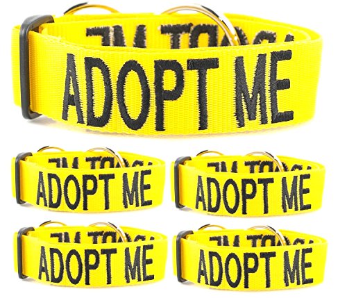 Friendly Dog Collars- Adopt Me Semi Choke Collar 18-28" x 1.5"