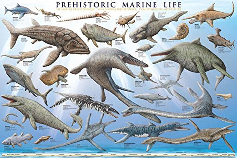 Prehistoric Marine Life 24x36 inches, Poster (not in pricelist)