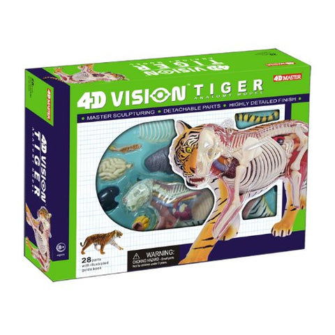 4D Vision Tiger Anatomy Model