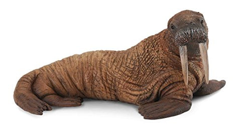 Walrus, L