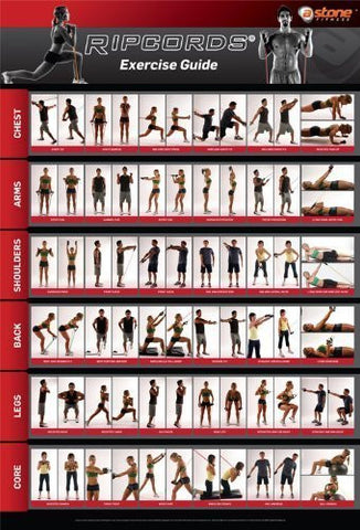 Ripcords Exercise Guide Poster | Resistance Band Workout Chart