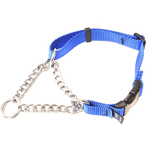 Chain Martingale - Blue, Large