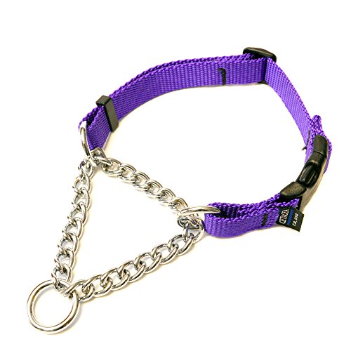 Chain Martingale - Purple, Large