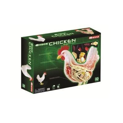 4D Full Skeleton Chicken