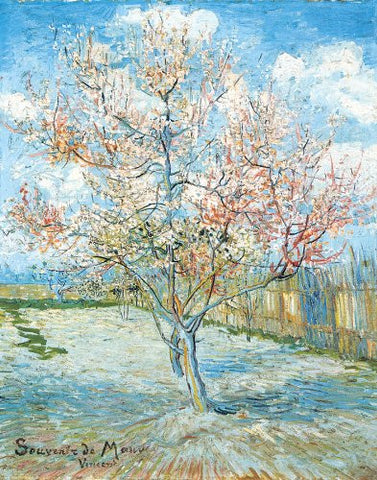 11 x 14 Postcard, Van Gogh, Peach Tree in Blossom