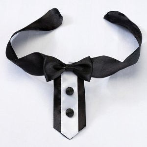 Tuxedo Dog Collar
