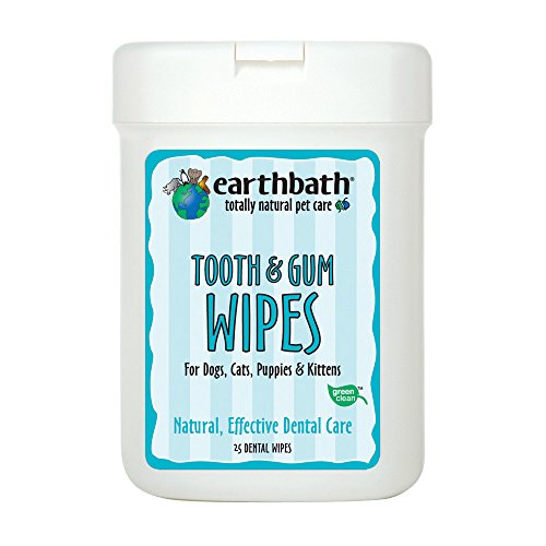 Earthwhile Endeavors Tooth & Gum Wipes, 25-pcs