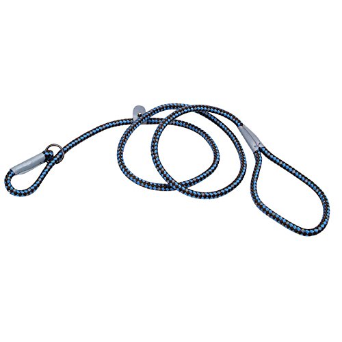K9 Explorer Braided Rope Slip Leash 6' - Sapphire