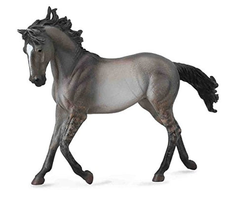 Horses - Grulla Mustang Mare