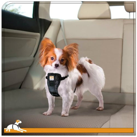 Enhanced Strength Tru-Fit Smart Harness w/seatbelt loop, X-Small - Black