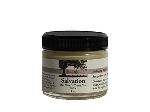 Salvation Salve 2 oz.