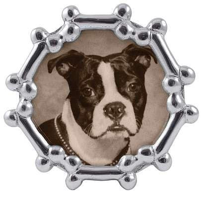 Dog Bone Round Frame