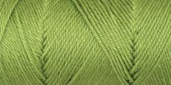 Simply Soft Collection Yarn, Pistachio