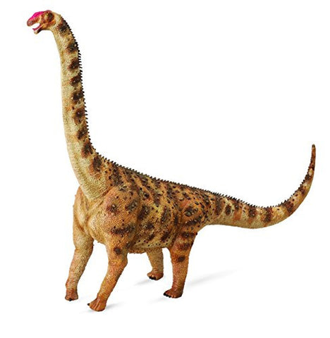 Argentinosaurus, XL