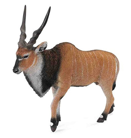 Giant Eland Antelope, XL