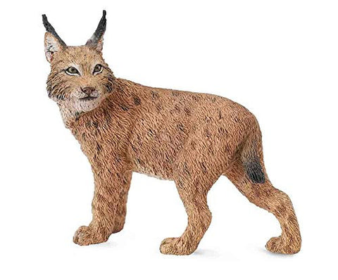 Lynx, L